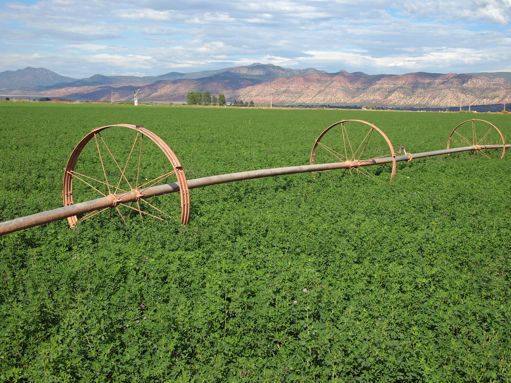 Rural Hay Field